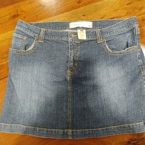 Denim Mini Skirt 3x